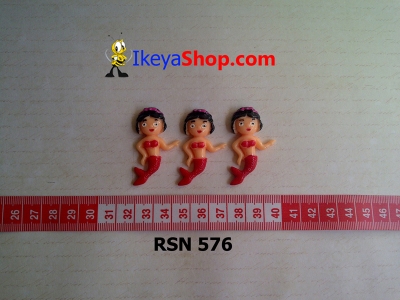 rsn 576  large2